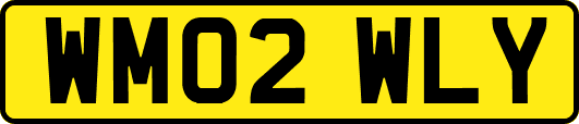 WM02WLY