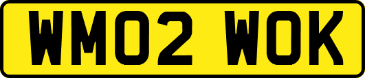 WM02WOK
