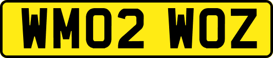 WM02WOZ