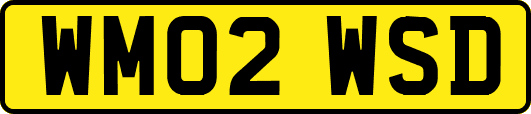 WM02WSD