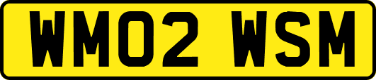WM02WSM