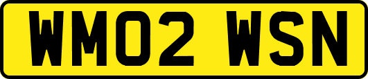 WM02WSN