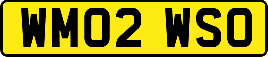 WM02WSO