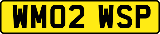 WM02WSP