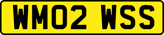 WM02WSS