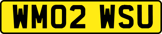 WM02WSU