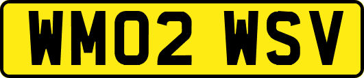 WM02WSV