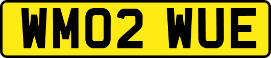 WM02WUE