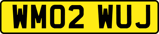 WM02WUJ