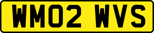 WM02WVS