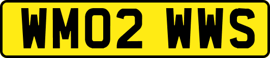 WM02WWS