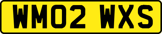 WM02WXS