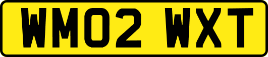 WM02WXT