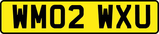 WM02WXU