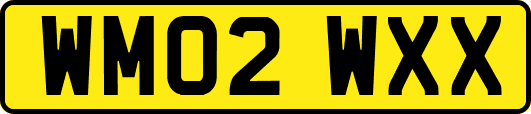 WM02WXX