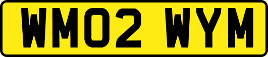 WM02WYM