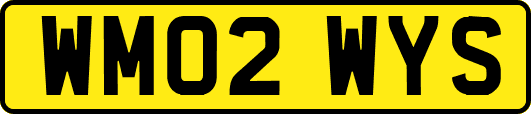 WM02WYS