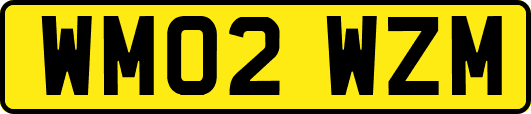 WM02WZM