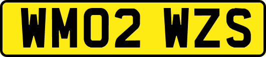 WM02WZS