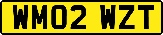 WM02WZT