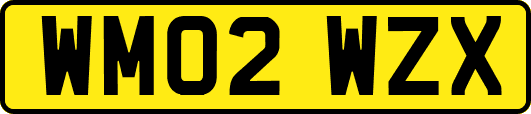 WM02WZX
