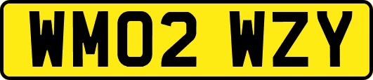 WM02WZY