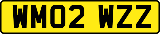 WM02WZZ