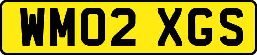WM02XGS