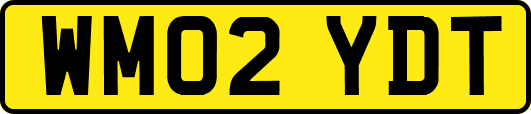 WM02YDT