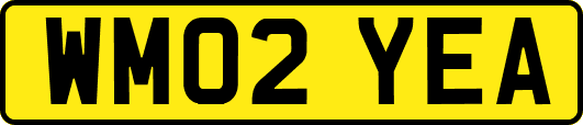 WM02YEA