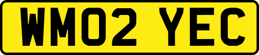 WM02YEC
