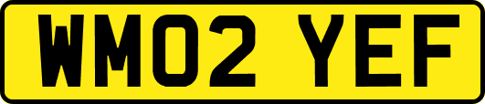 WM02YEF