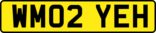 WM02YEH