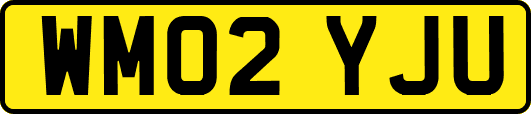 WM02YJU