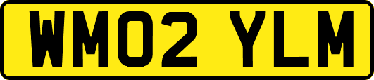 WM02YLM