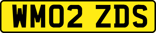 WM02ZDS
