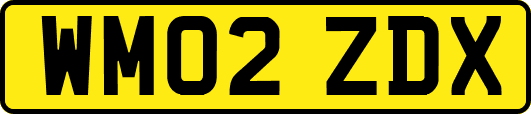 WM02ZDX