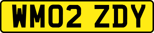 WM02ZDY