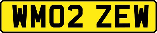 WM02ZEW