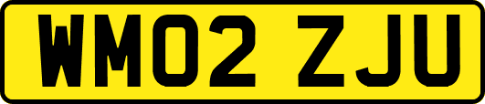WM02ZJU