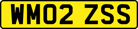 WM02ZSS