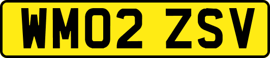 WM02ZSV