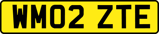 WM02ZTE