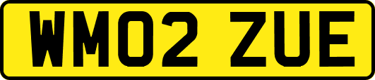 WM02ZUE