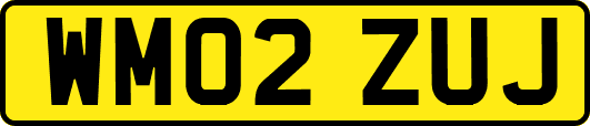 WM02ZUJ