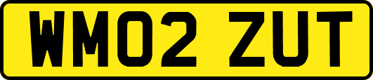 WM02ZUT