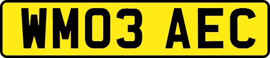 WM03AEC