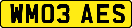 WM03AES