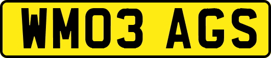 WM03AGS
