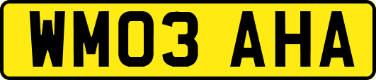 WM03AHA
